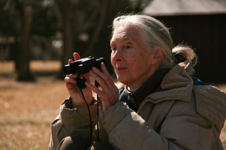 Fotograma del documental | ‘El viaje de Jane’: Documental de la primatóloga Jane Goodall