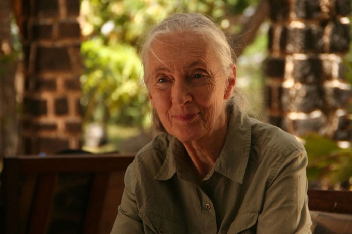 Fotograma del documental | ‘El viaje de Jane’: Documental de la primatóloga Jane Goodall