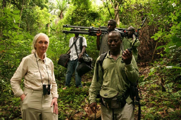 Fotograma del documental | ‘El viaje de Jane’: Documental de la primatóloga Jane Goodall