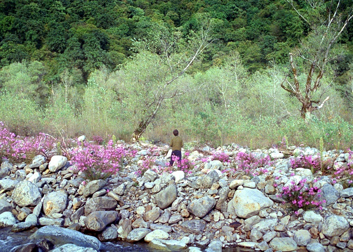 Fotograma del filme | ‘Beginning’: Concha de Oro para el genial debut de Dea Kulumbegashvili