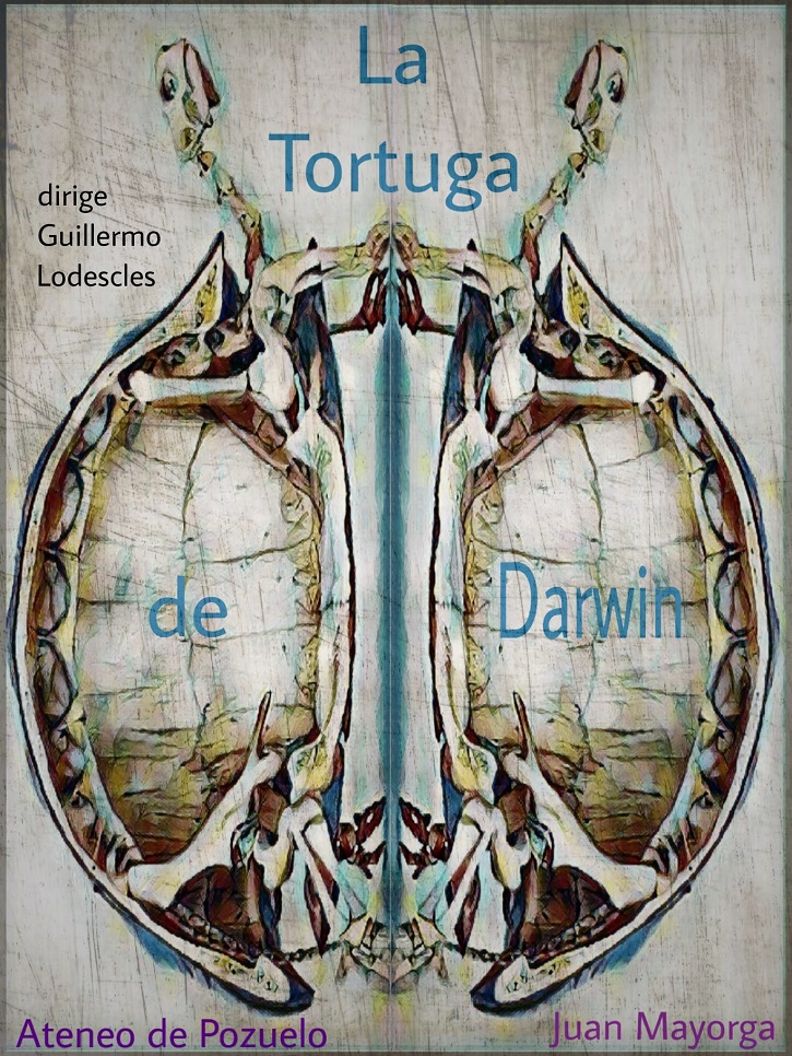 Cartel promocional de La tortuga de Darwin | ‘La tortuga de Darwin’ (‘Ateneo de Pozuelo’) en certamen teatro ‘D Ensayo’