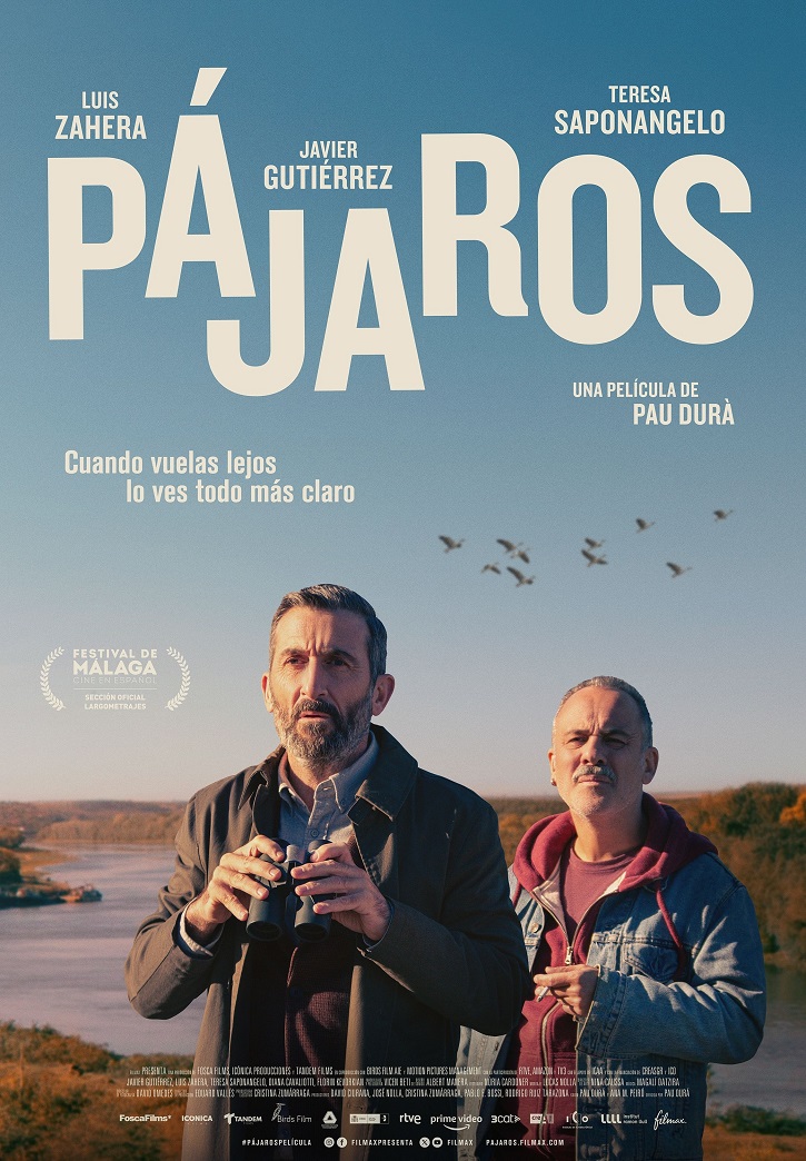 Cartel promocional del melodrama Pájaros 