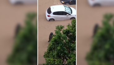 Graba a una vecina de Málaga en plena DANA y se queda muda al ver qué vehículo está conduciendo: "¡Señora!"