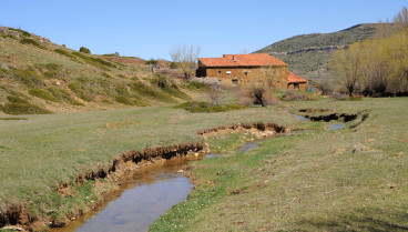 Se muda con sus 5 hijos a un pueblo de Teruel y, al llegar, le hacen una oferta que acaba siendo «la mejor decisión de su vida»