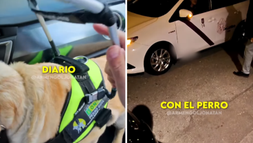 Un ciego con perro guía pide un taxi en Ávila y el gesto que tiene el taxista cuando se sube al coche le deja sin palabras: "Tenemos la obligación"