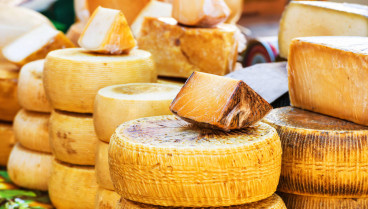 El queso, tal y como lo conocemos, podría cambiar para siempre: este es el motivo por el que este producto podría transformar su sabor