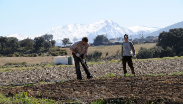 Agricultores españoles denuncian que la UE está fomentando la importación de este producto a un precio más bajo: «Les cuesta el kilo 2 euros y a nosotros 4»
