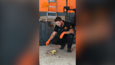 Juan José Ebenezer, mecánico de Sevilla: «Este animal se mete en tu coche, luego tenemos que desmontarlo y sacar todos estos huesos»