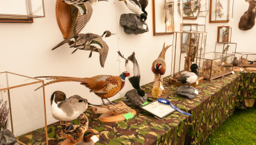 Ignacio: «Colecciono taxidermia defectuosa y todo empieza porque vi un animal en Francia que me hizo bastante gracia, parecía que lo habían atropellado. Ahí empezó mi colección»