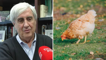 Juan José Badiola, catedrático emérito de Salud Animal: «Se supone que remitirá en un máximo de tres semanas»