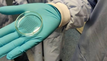 Científicos logran un parche que regenera el tejido cardíaco tras un infarto: podría cambiar la medicina