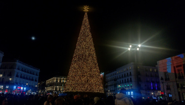 «Un árbol como el que hay en la Puerta del Sol consume como un secador de pelo»