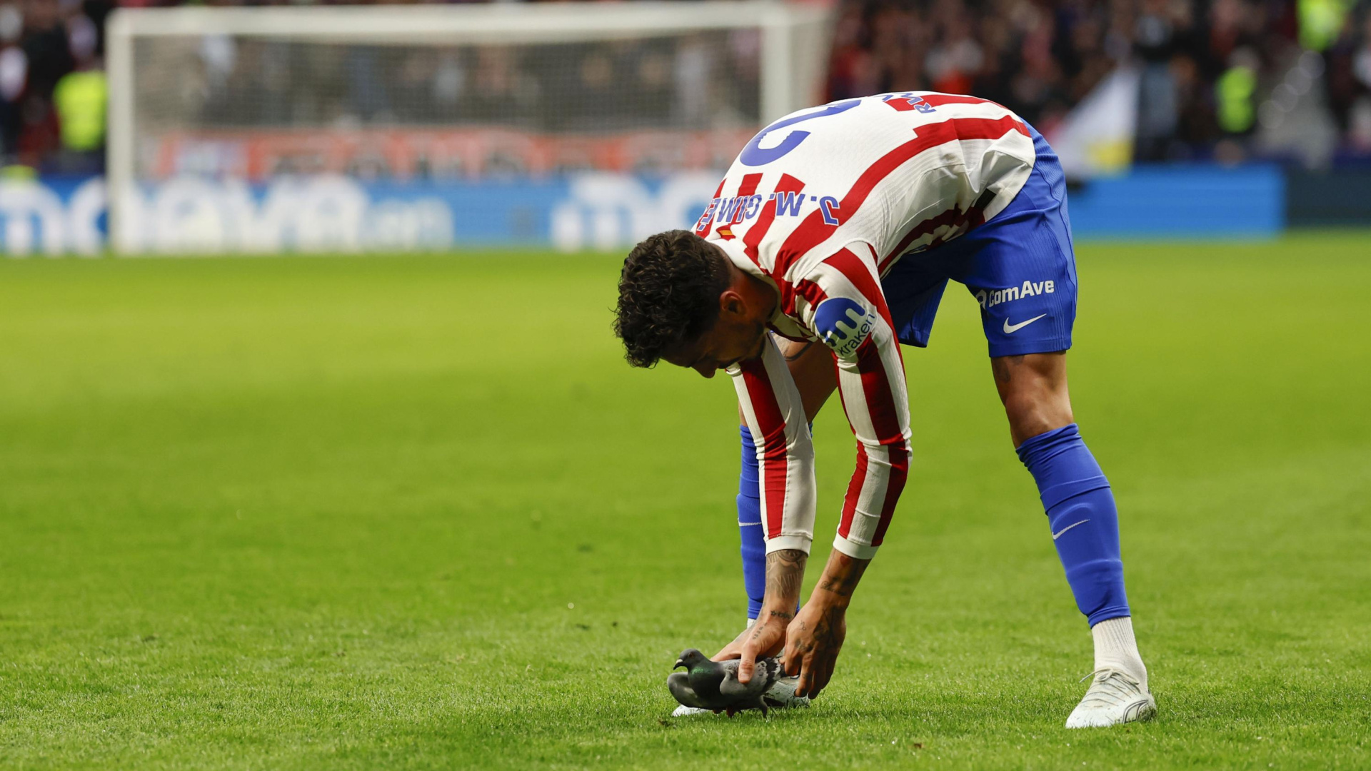 Giménez y la surrealista anécdota de la paloma en el Atlético-Real Sociedad: "¿En serio que se estaba parando el partido por la paloma?"