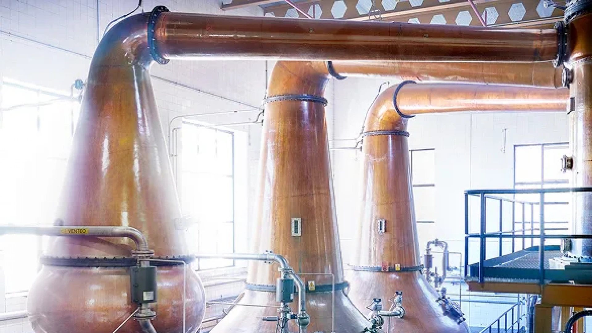 ¿Te atreves con una cata de whisky? DYC propone una experiencia gastronómica única en Segovia