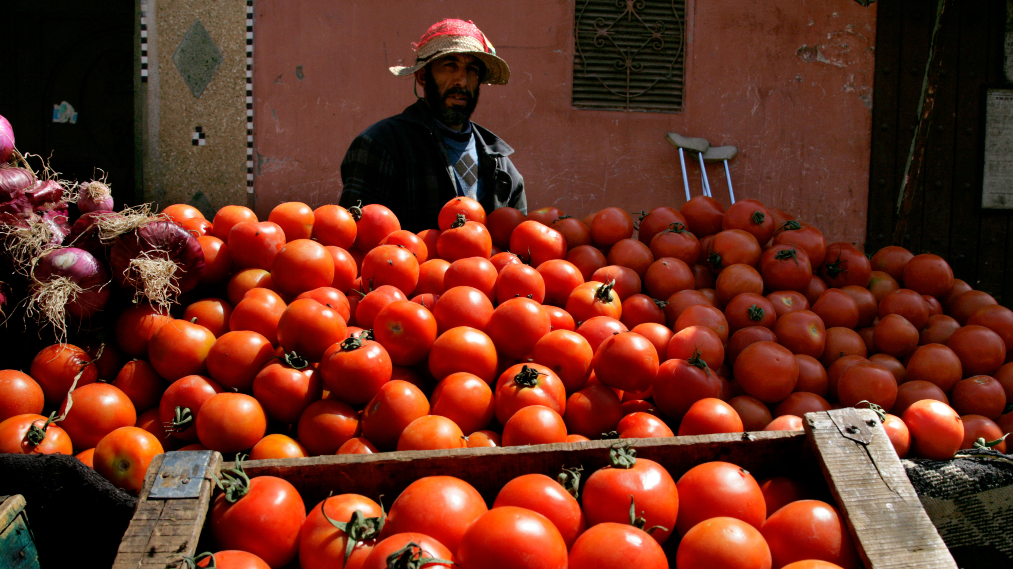 "¿Alguien ha oído que hayan cortado la importación de tomate marroquí por el contingente? Nunca; Europa reconoce que es incapaz de controlar la mercancía que llega"