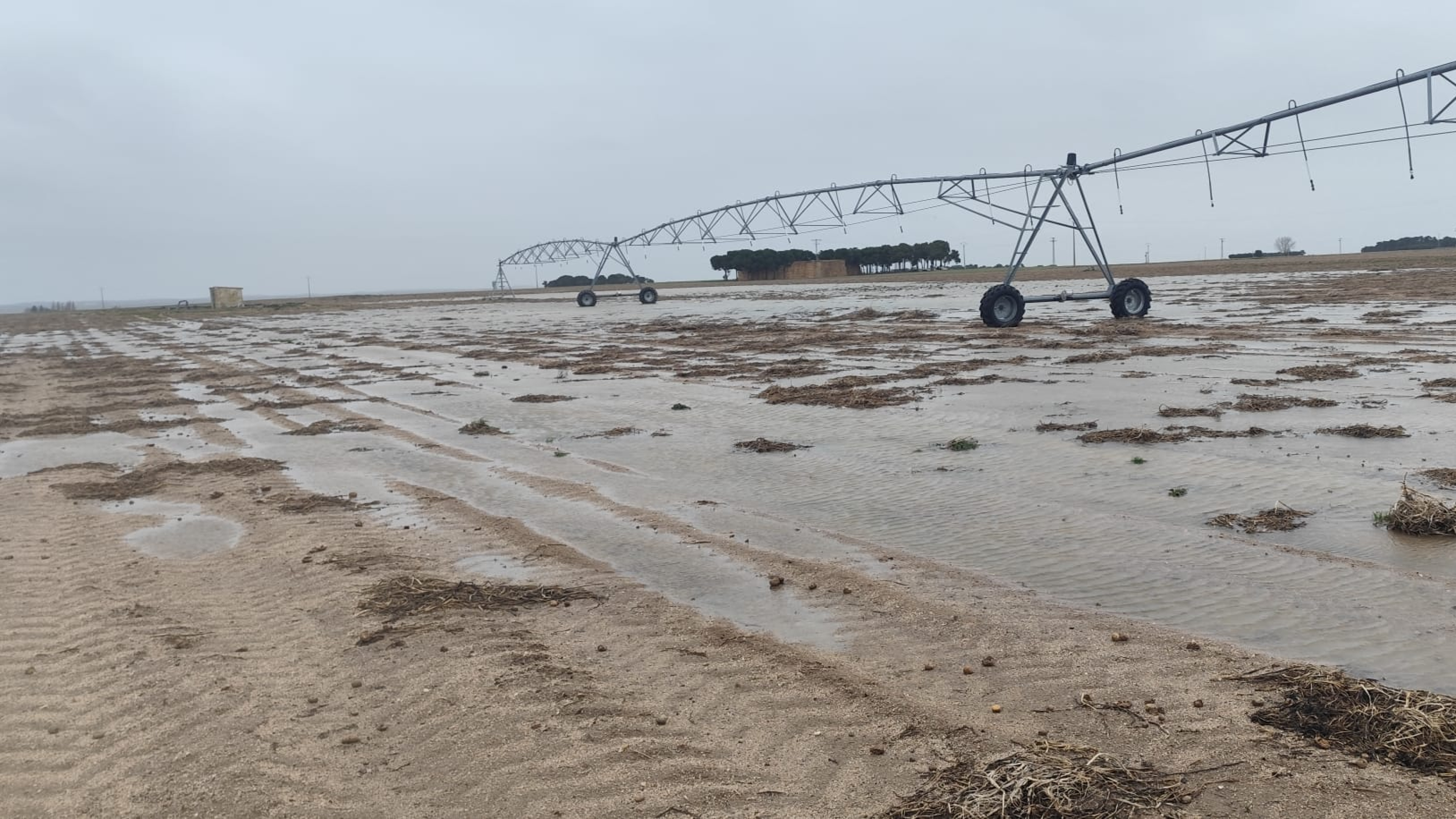 Las intensas lluvias inundan los cultivos de la provincia de Ávila: los agricultores temen daños económicos importantes