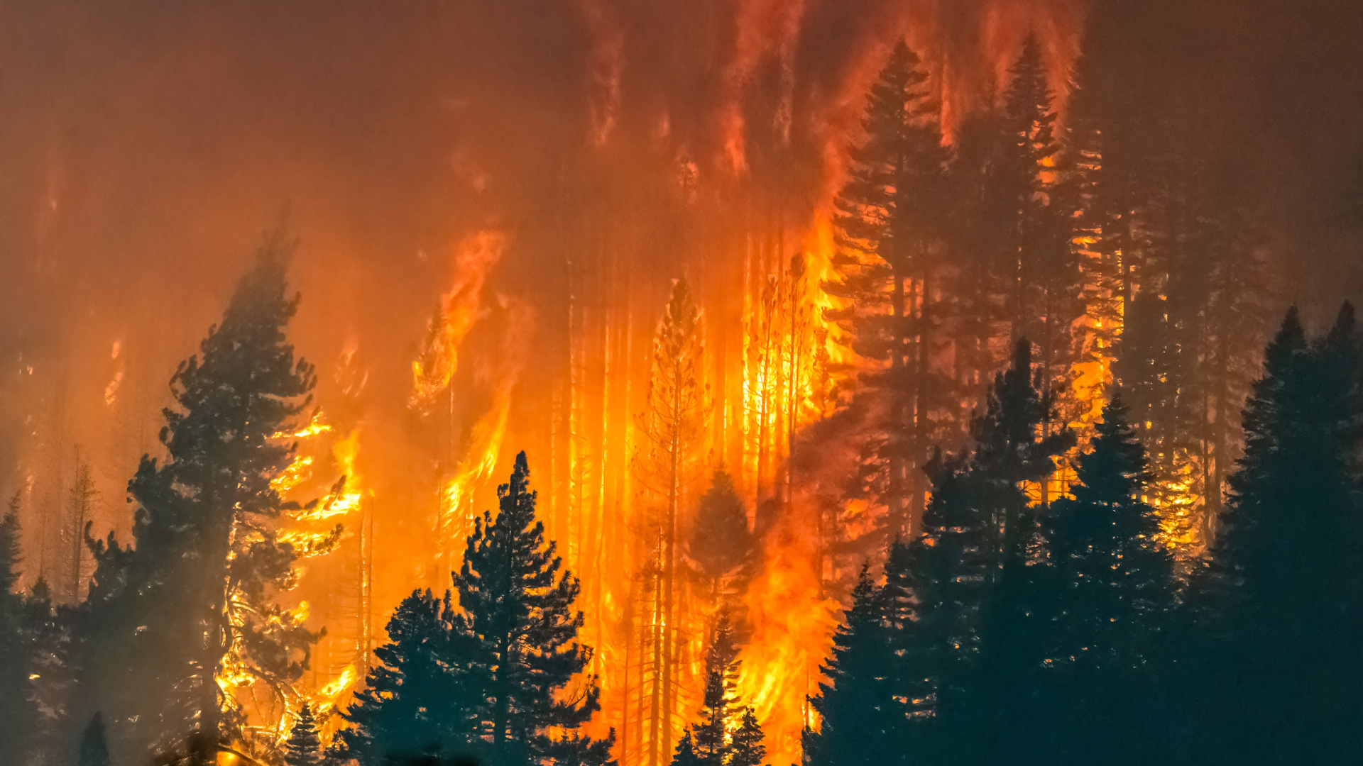 Piden 6 años de cárcel para el acusado del gran incendio de Gata y Las Hurdes de 2023
